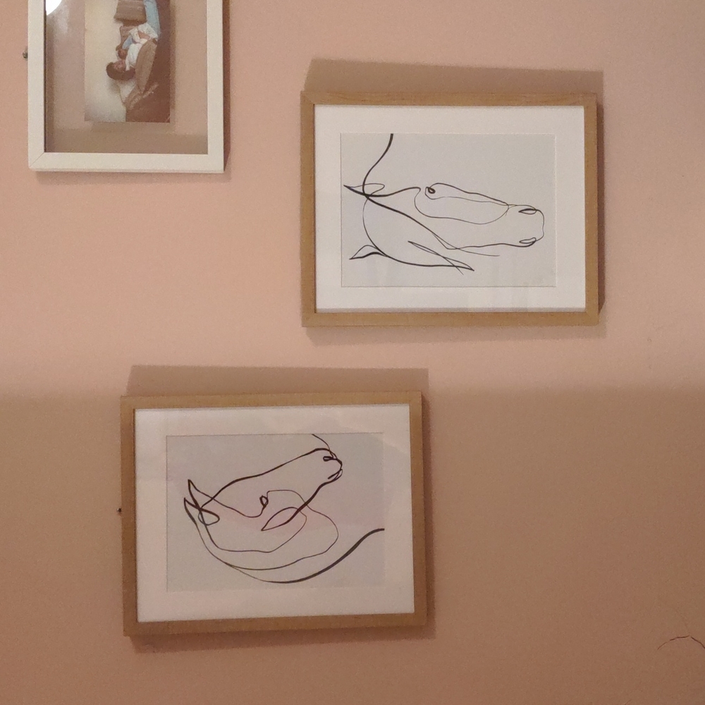 Horse Line Drawings, Framed